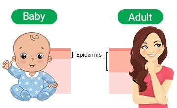 Baby Vs Adult skin